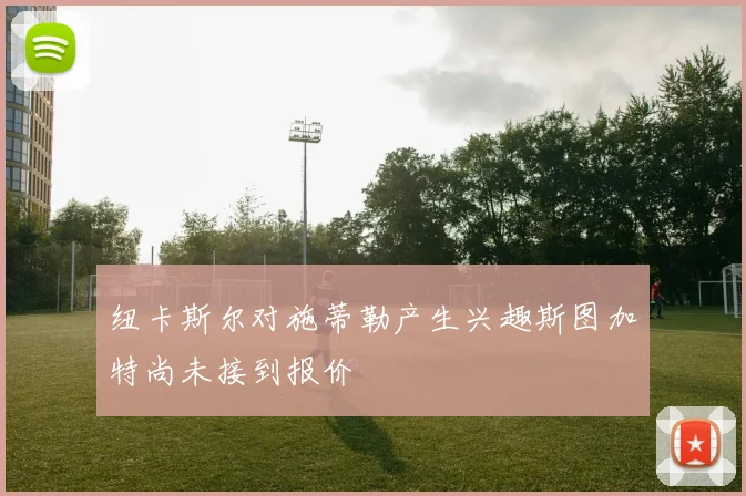 纽卡斯尔对施蒂勒产生兴趣斯图加特尚未接到报价